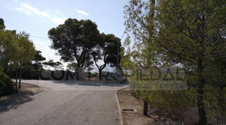 Islas Baleares - Lluchmayor - 924m2