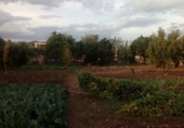 Finca rústica en venda a la España, Encinarejo de Córdoba, ref.: TR292428 foto