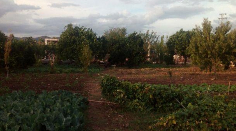 Córdoba - Córdoba - 5000m2