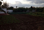 Finca rústica en venda a la España, Encinarejo de Córdoba, ref.: TR292428 foto