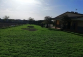 Casa de campo con terreno en venta en la España, Torremocha, ref: TR319334 foto