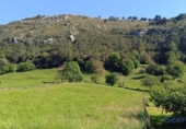 Non-developable land for sale on España, San Miguel de Aras, ref: TR401680 photo