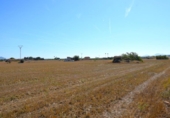 Detached villa with land for sale on España, Muro, ref: TR164431 photo