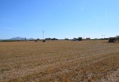 Detached villa with land for sale on España, Muro, ref: TR164431 photo