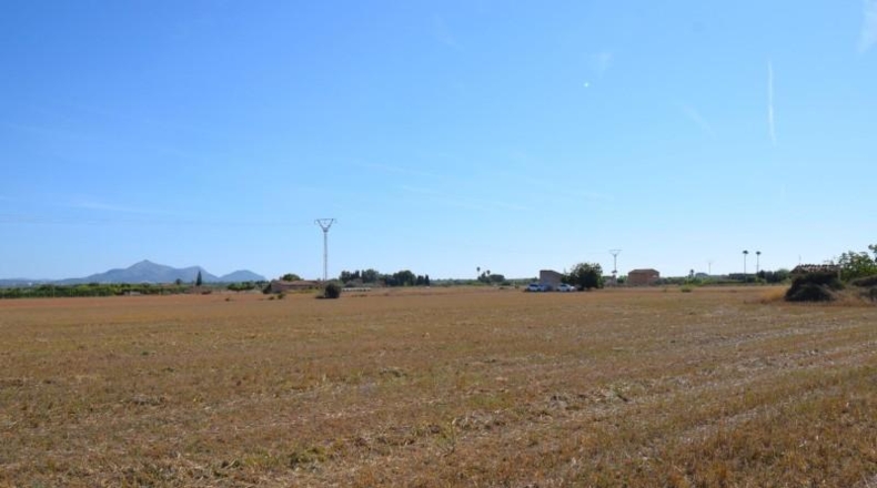 Islas Baleares - Muro - 15324m2