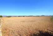 Detached villa with land for sale on España, Muro, ref: TR164431 photo