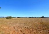 Detached villa with land for sale on España, Muro, ref: TR164431 photo