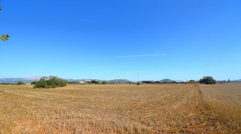 Islas Baleares - Muro - 15324m2