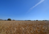 Detached villa with land for sale on España, Muro, ref: TR164431 photo