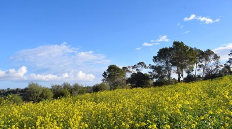 Illes Balears - Муро - 14337m2
