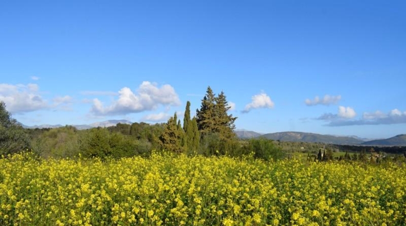 Illes Balears - Муро - 14337m2
