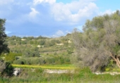 Terreno no urbanizable en venta en la España, Muro, ref: TR391422 foto