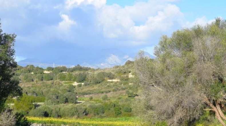 Illes Balears - Муро - 14337m2