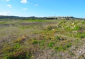 Terreno no urbanizable en venta en la España, Muro, ref: TR391422 foto