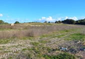 Terreno no urbanizable en venta en la España, Muro, ref: TR391422 foto