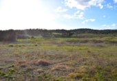 Terreno no urbanizable en venta en la España, Muro, ref: TR391422 foto