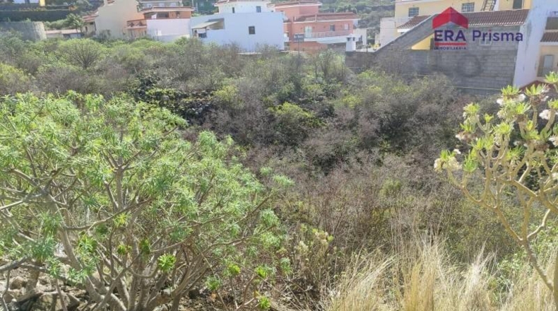 Santa Cruz de Tenerife - Icod de los Vinos - 1280m2