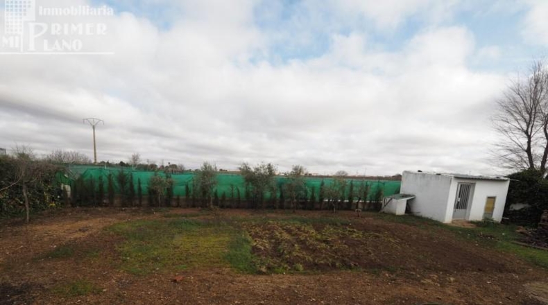 Ciudad Real - Tomelloso - 1000m2