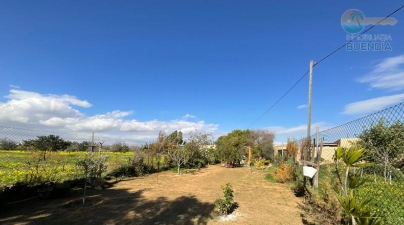 Murcia - Cartagena - 586m2