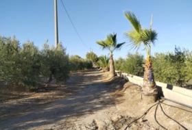 Foto 10