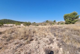 Abanilla 120500&nbsp;m²