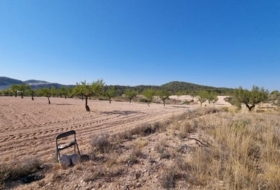 Abanilla 120500&nbsp;m²