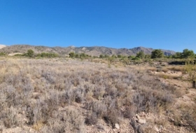 Abanilla 120500&nbsp;m²