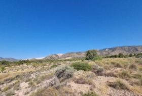 Abanilla 120500&nbsp;m²