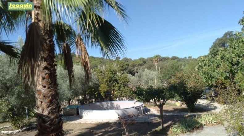 Córdoba - Córdoba - 3000m2