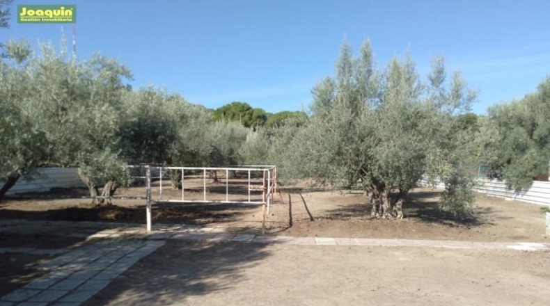 Córdoba - Córdoba - 3000m2