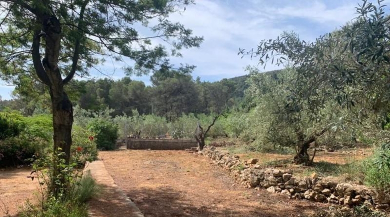 Valencia - Villalonga - 650m2