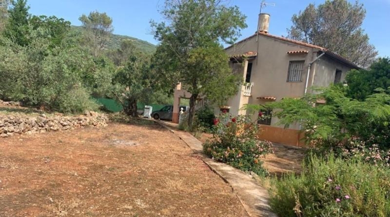 Valencia - Villalonga - 650m2