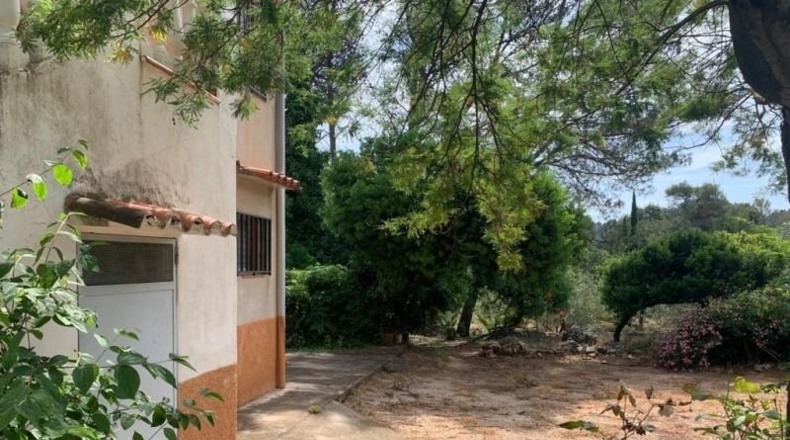 Valencia - Villalonga - 650m2