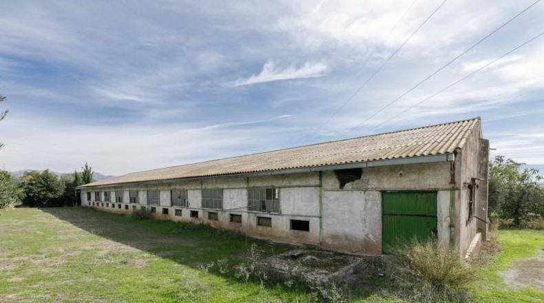 Granada - Atarfe - 6800m2