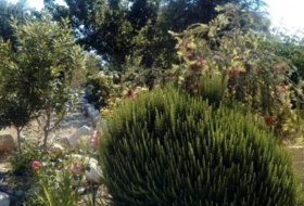 Foto 15