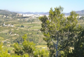 Foto 15