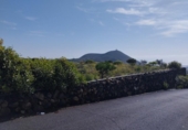 Земля на продажу у города San Miguel de Abona Фото