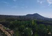 Земля на продажу у города San Miguel de Abona Фото