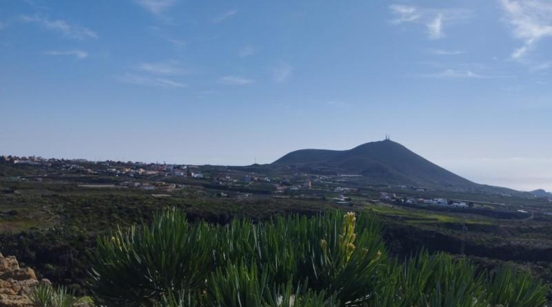 Santa Cruz de Tenerife - San Miguel de Abona - 10204m2