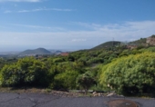 Земля на продажу у города San Miguel de Abona Фото