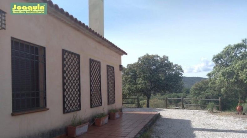 Cordova - Villaviciosa de Córdoba - 4141m2
