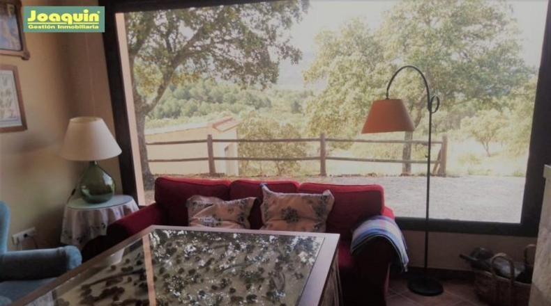 Cordova - Villaviciosa de Córdoba - 4141m2