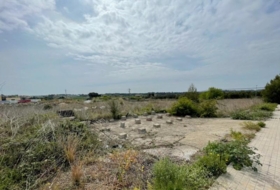 Puigpelat 9850&nbsp;m²