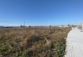 House with land for sale on España, Soto de la Marina, ref: TR291981 photo