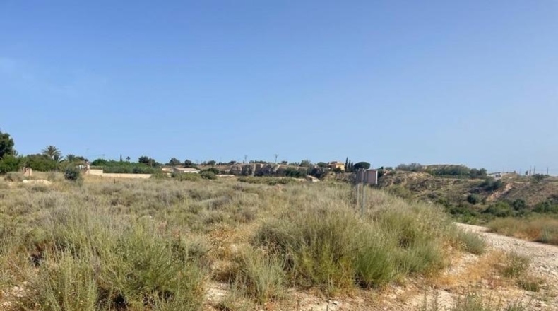 Alicante - Mutxamel - 5000m2