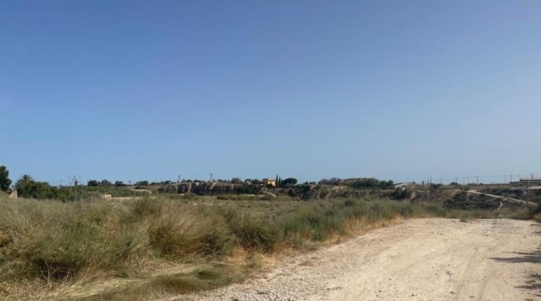 Alicante - Mutxamel - 5000m2