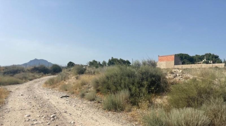 Alicante - Mutxamel - 5000m2