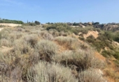 Suelo urbano en venta en la España, Mutxamel, ref: TR412762 foto