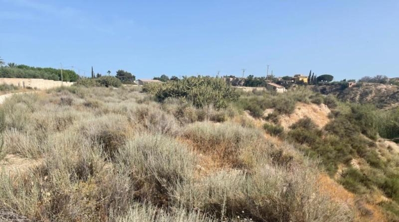 Alicante - Mutxamel - 5000m2