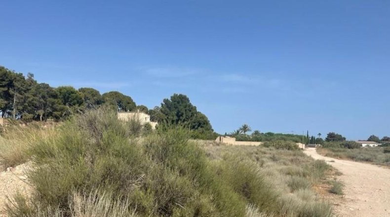 Alicante - Mutxamel - 5000m2